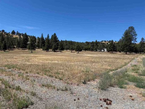 Commercial Land