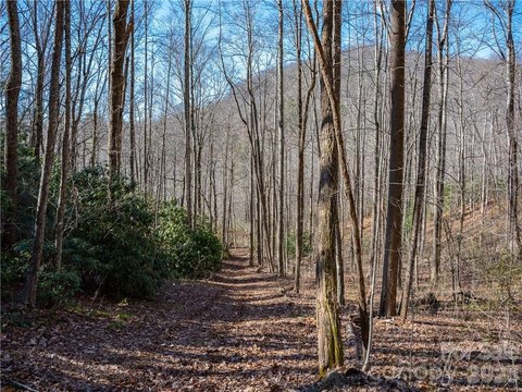 Mountain Creek Land
