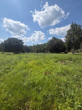 LAND - Bremen, KY