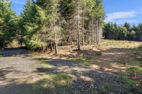 Land, CastleRock, WA
