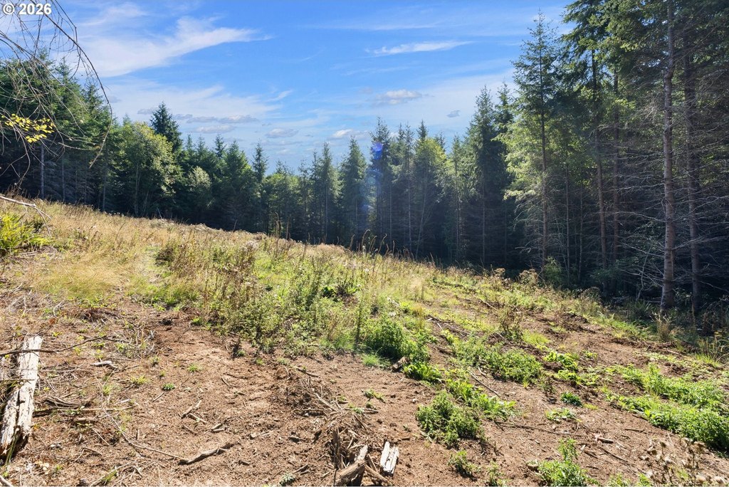 Picture 8