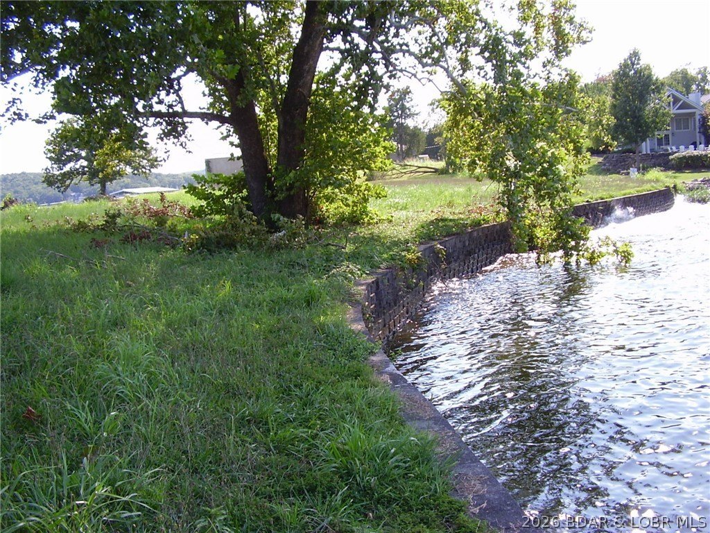 Picture 4