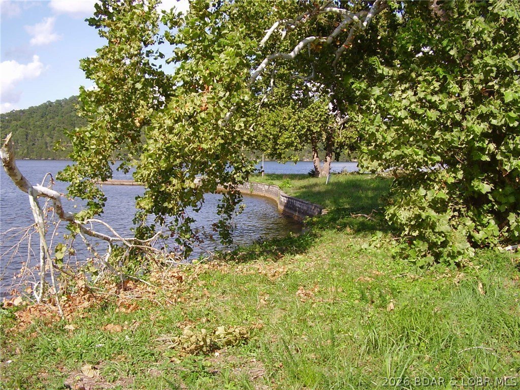 Picture 7