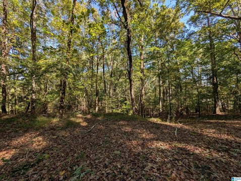 LAND/LOTS, GADSDEN, AL