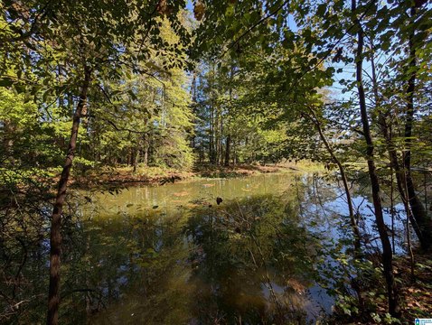 LAND/LOTS, GADSDEN, AL