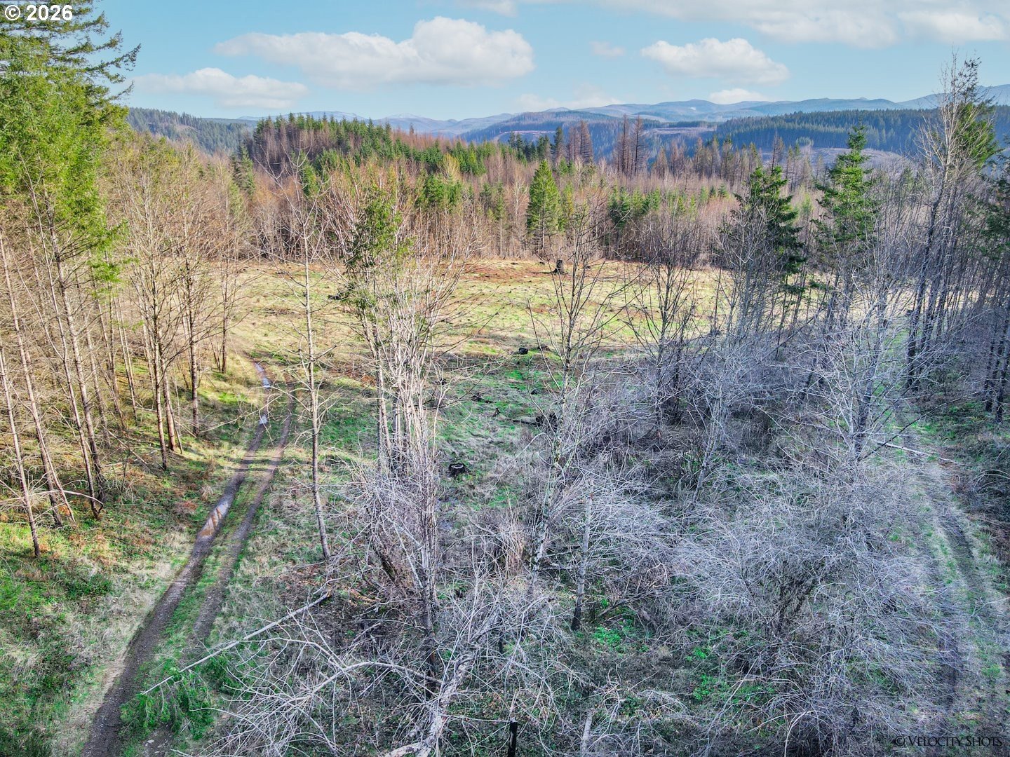54 Acres of Scenic Oregon Land