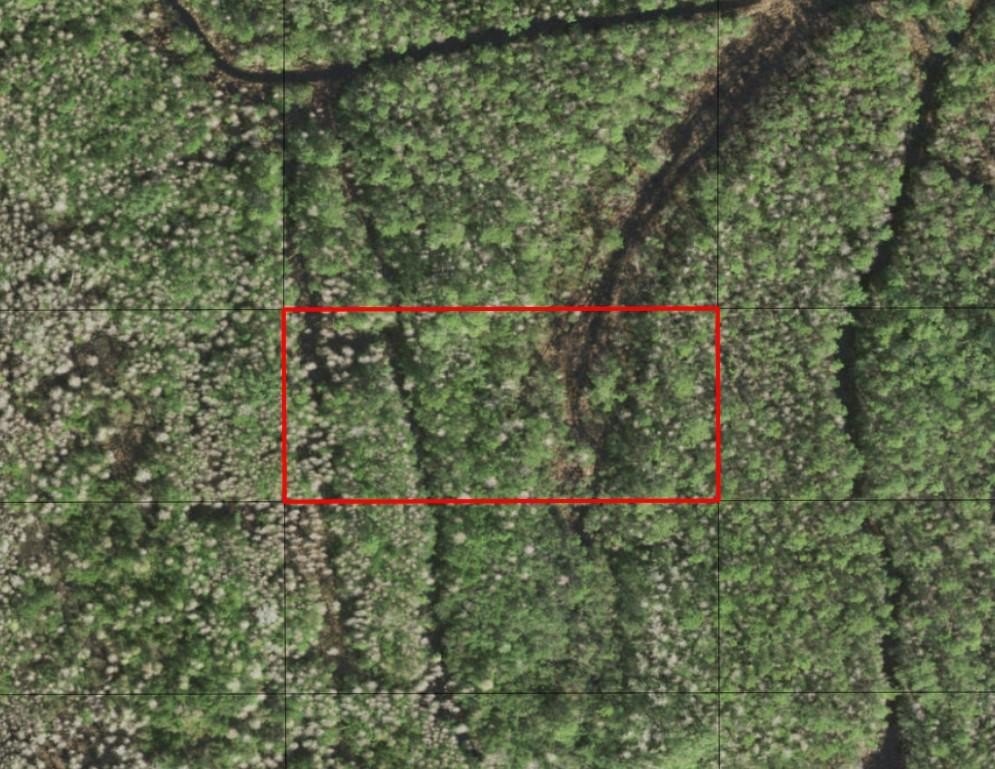 Holopaw Groves Hunting Land