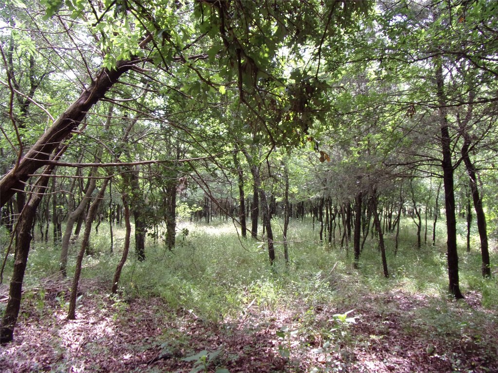 Picture 14