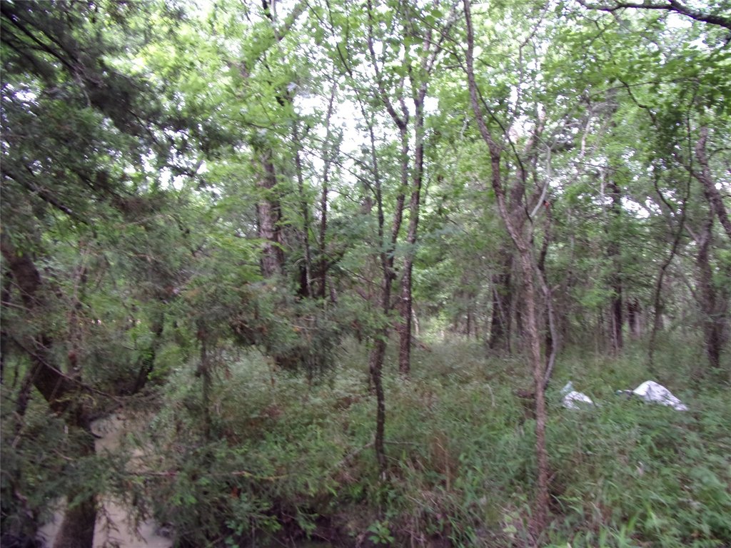 Picture 23