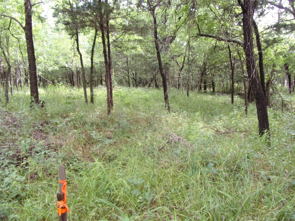 Picture 16