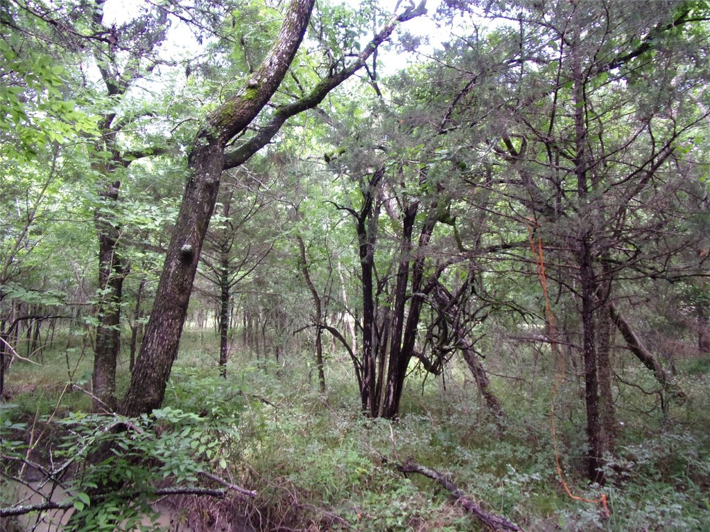 Picture 27