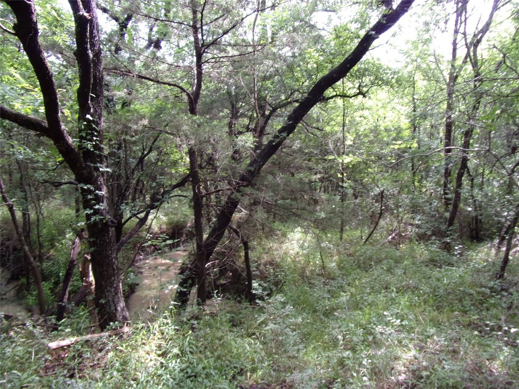Picture 19