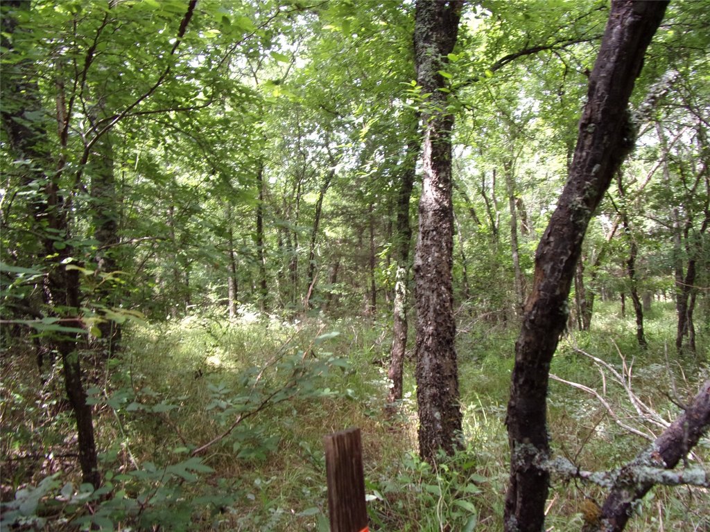 Picture 25
