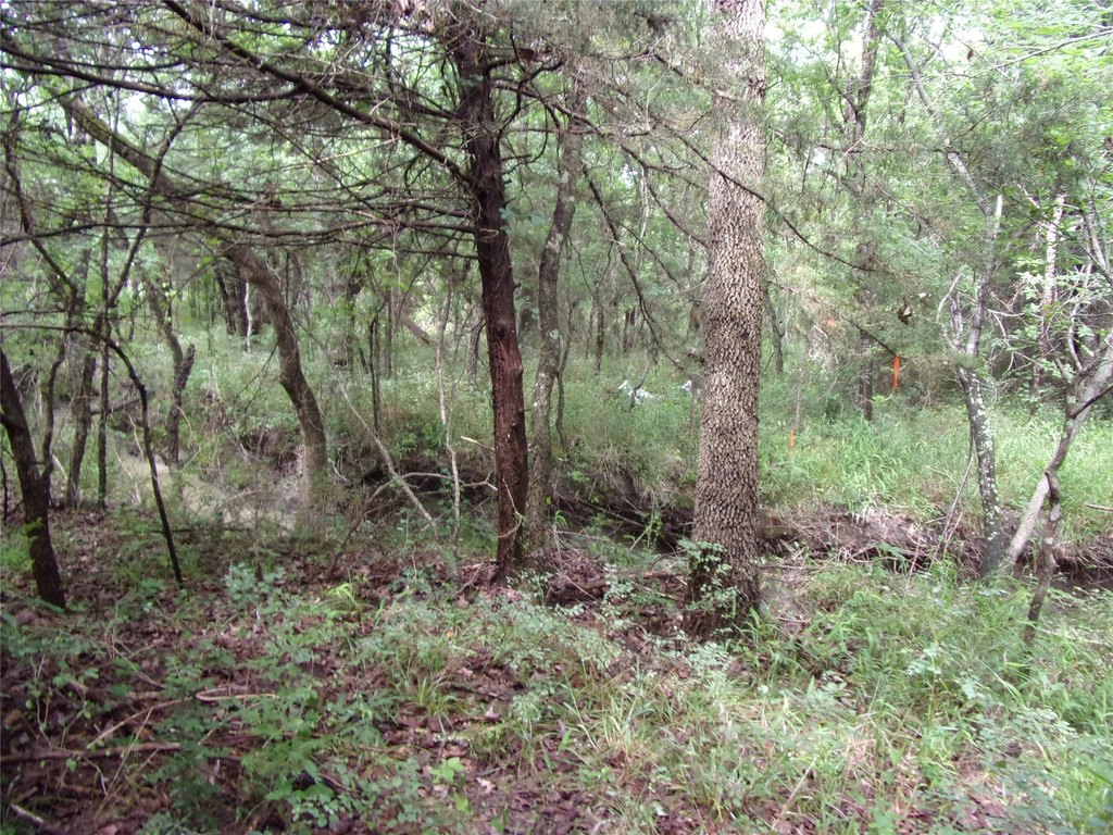 Picture 22