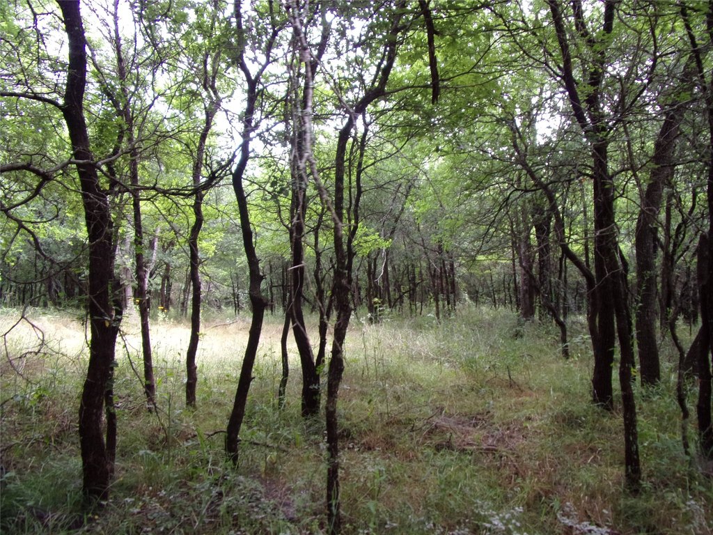 Picture 15