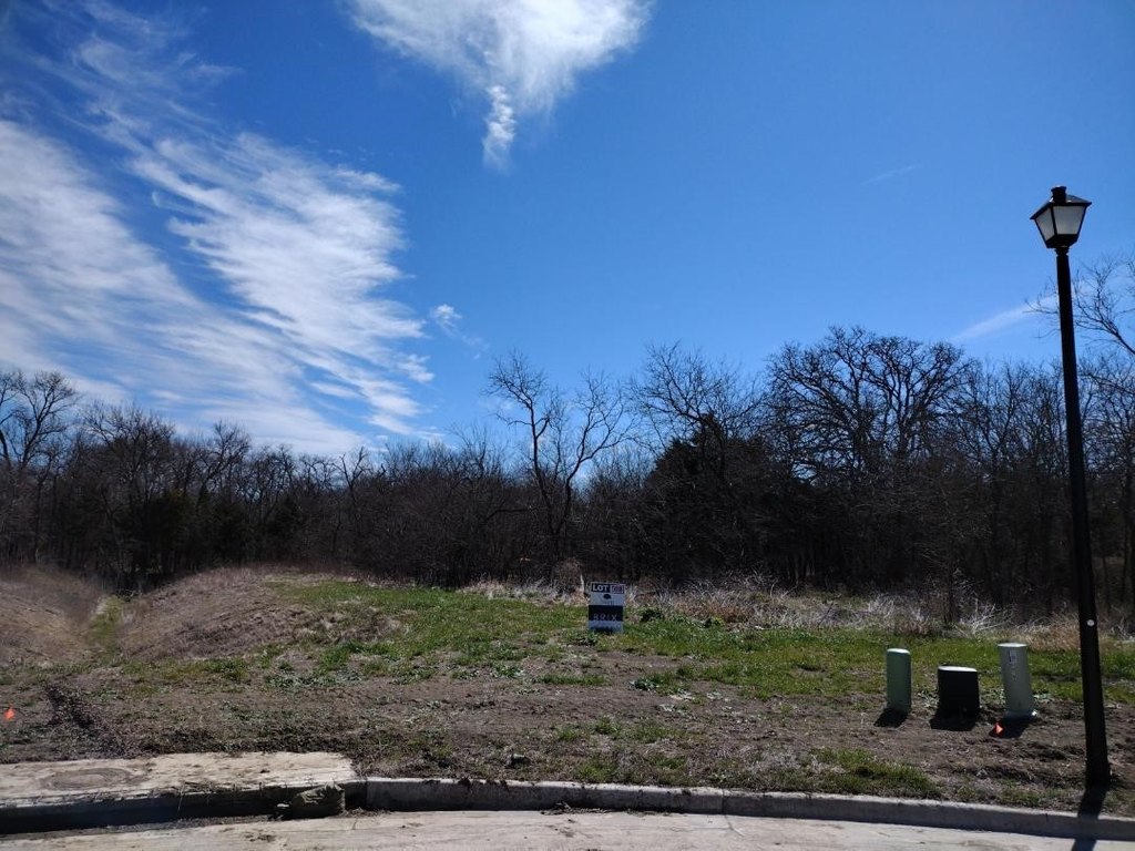 Picture 6
