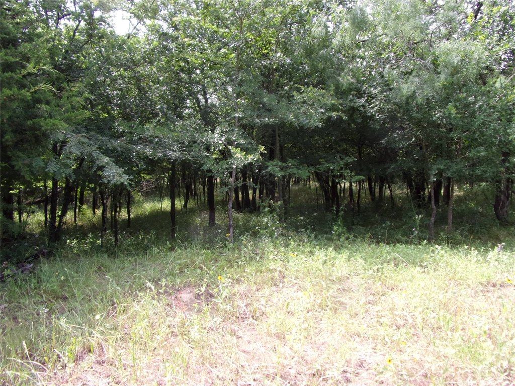 Picture 11