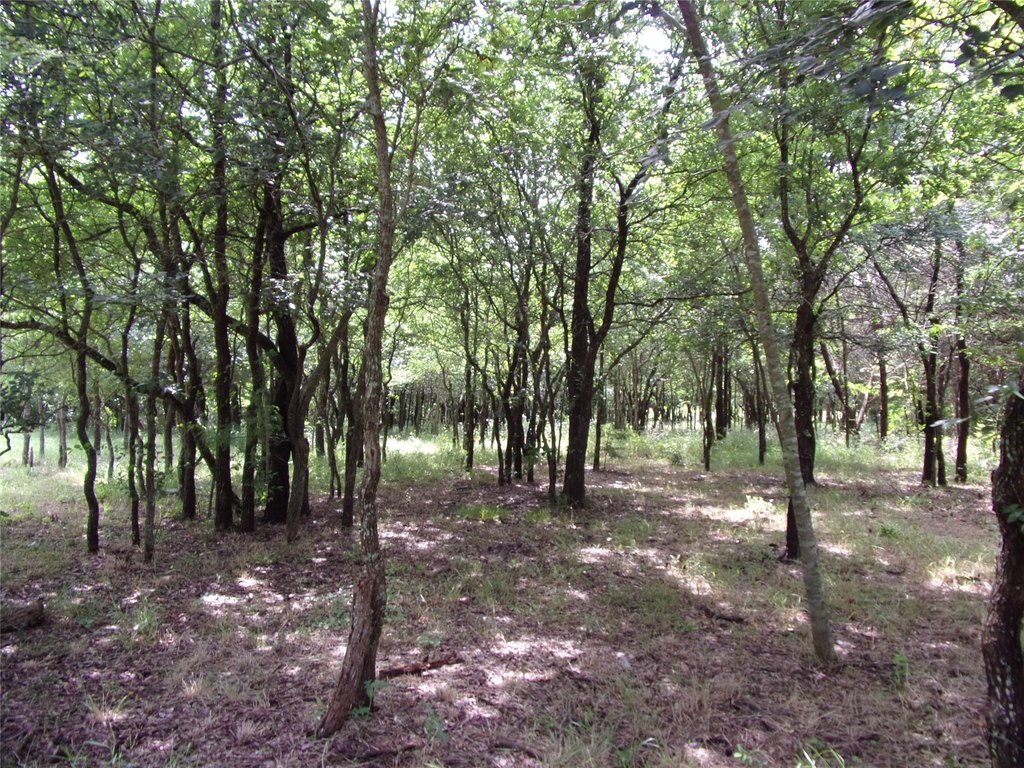Picture 30