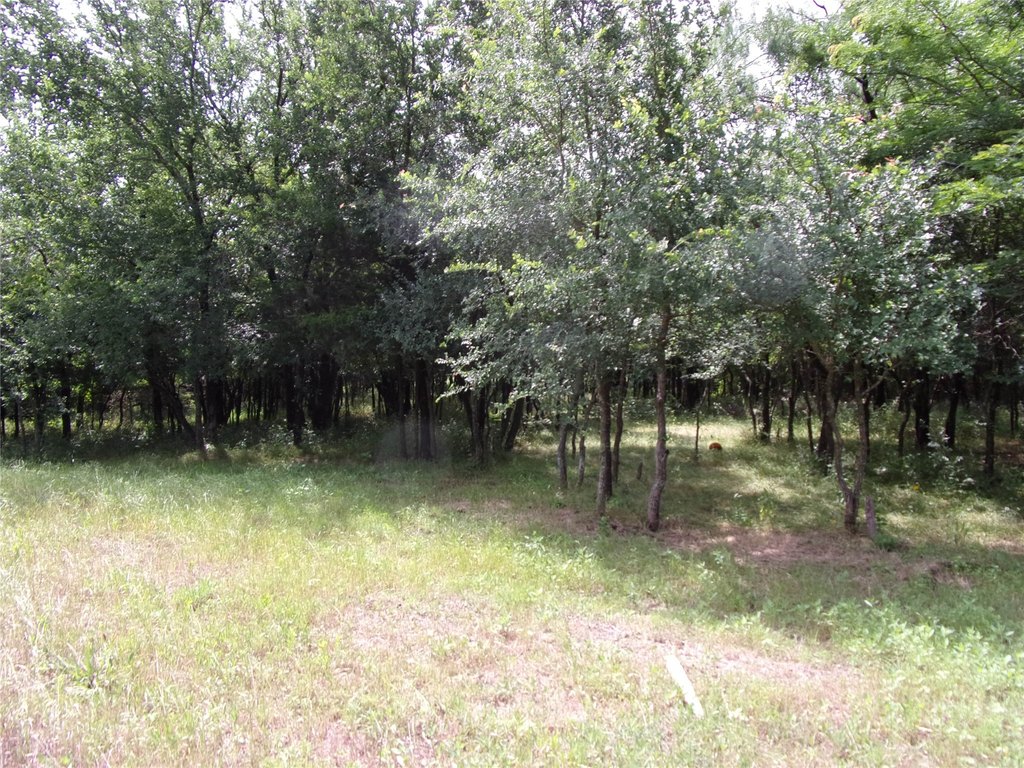 Picture 9