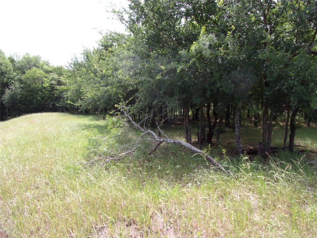 Picture 8
