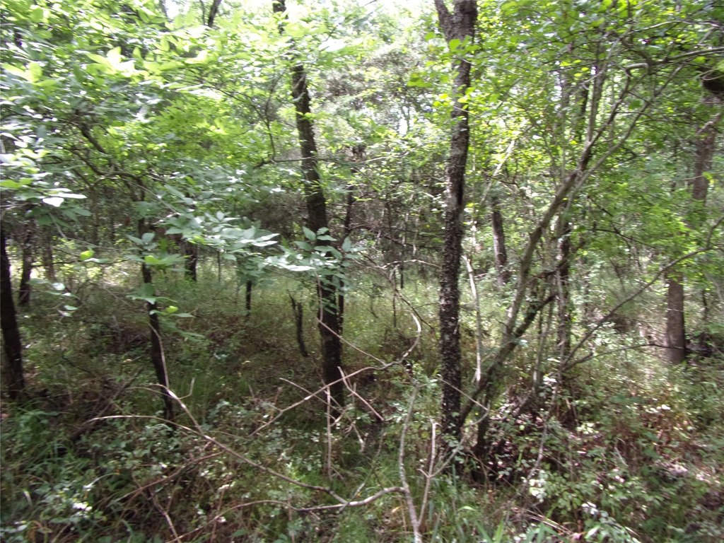 Picture 26