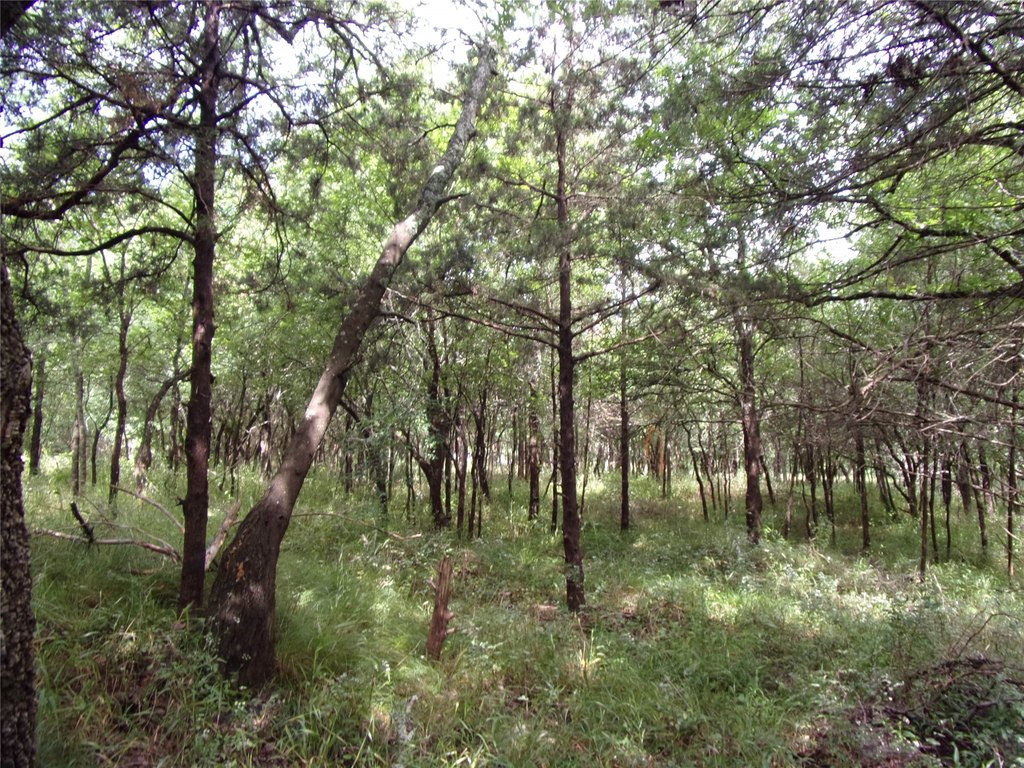 Picture 18