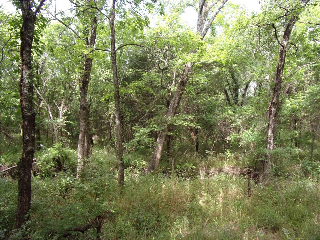 Picture 24