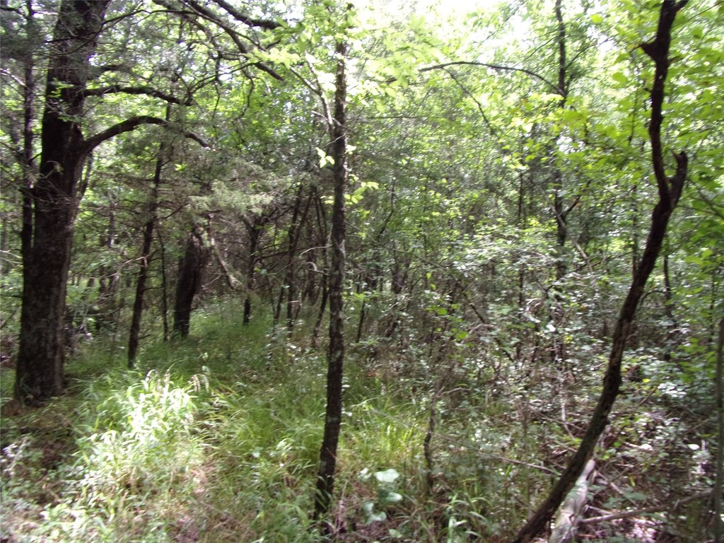 Picture 20