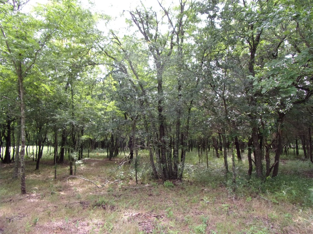 Picture 13