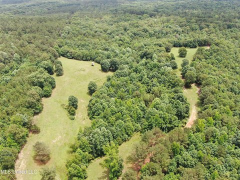 Hickory Flat Land For Sale