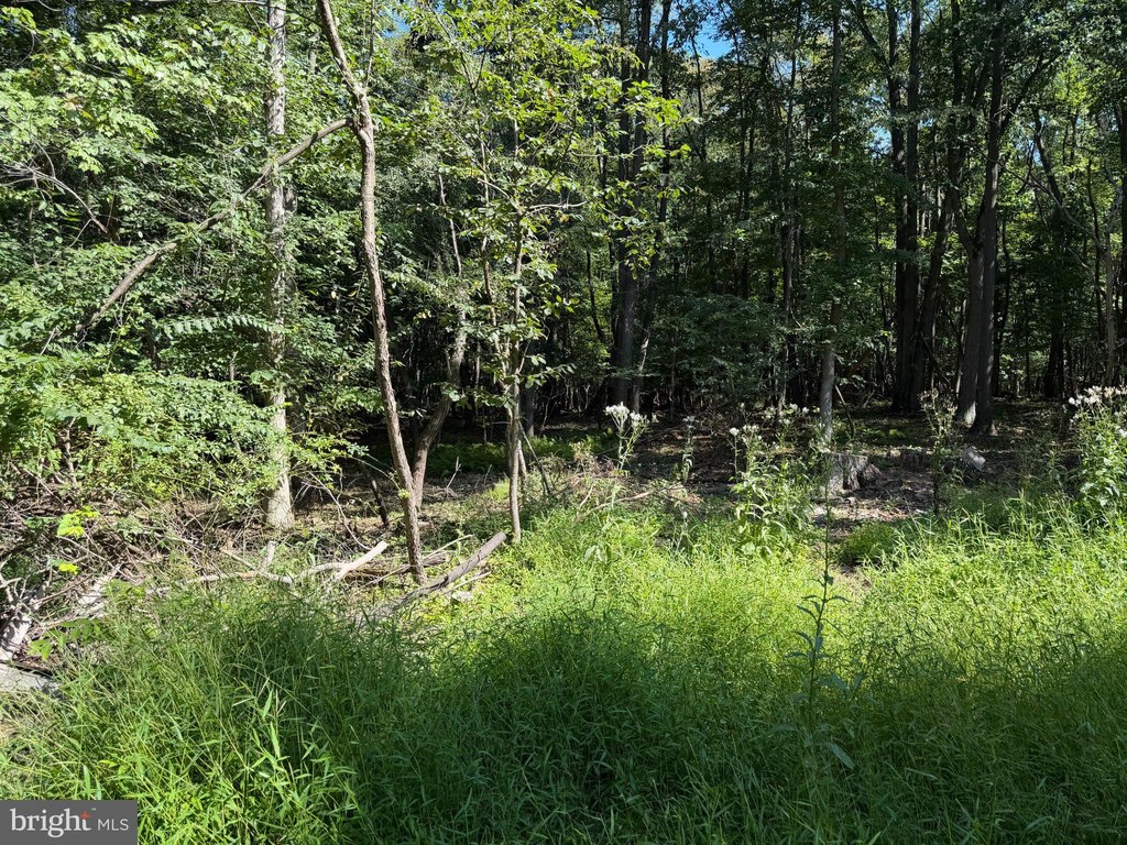 Picture 21