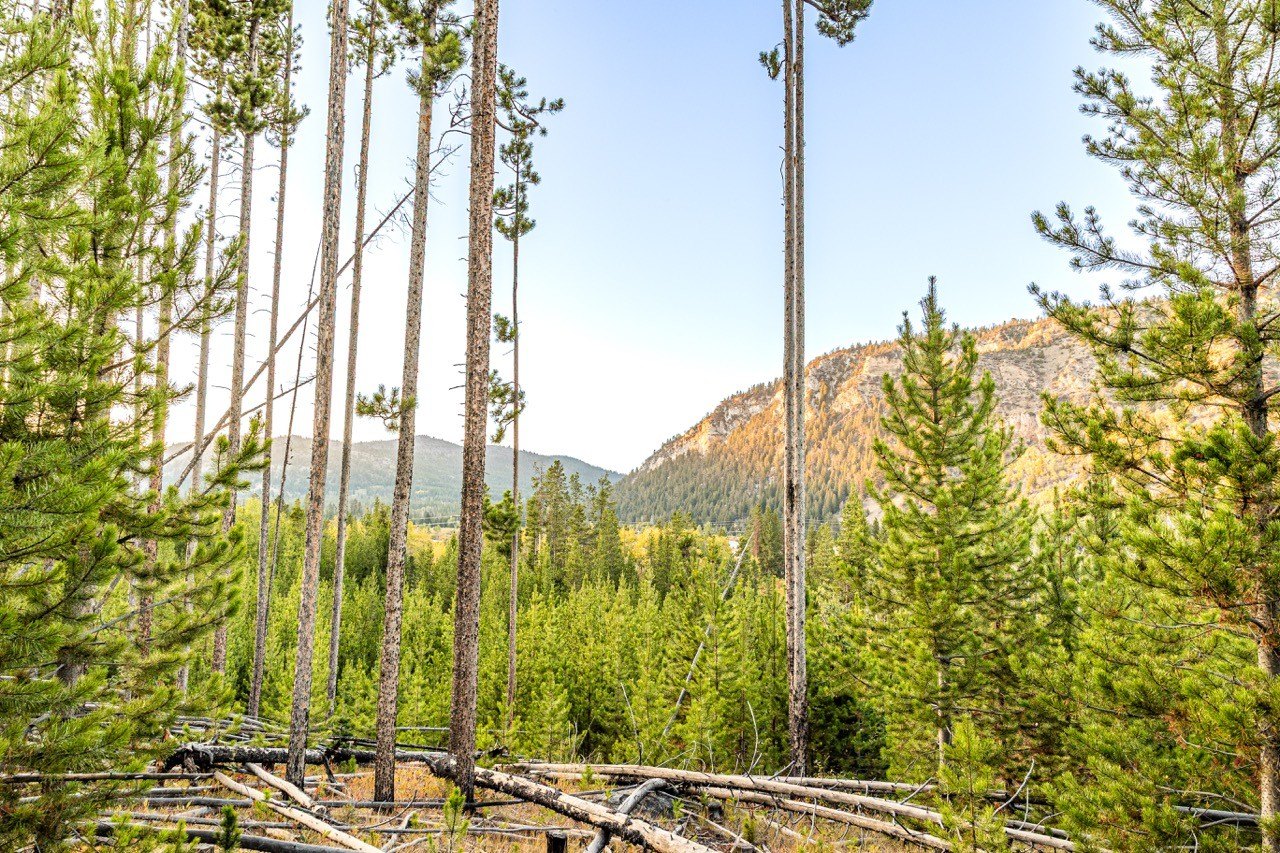Montana Land with Mountain Views