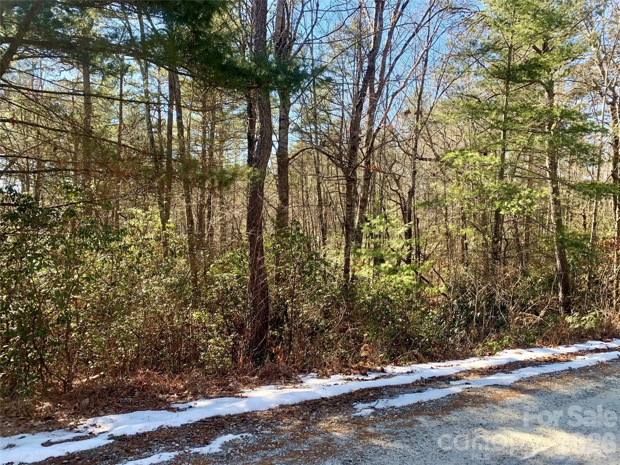 Brevard, NC Corner Lot