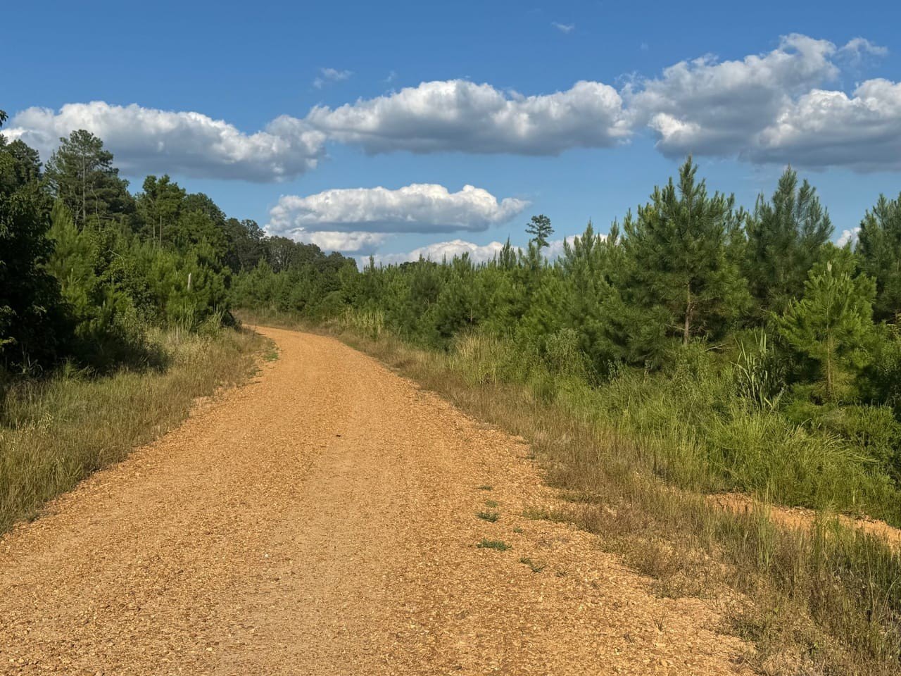 Carroll County Vacant Land Parcel