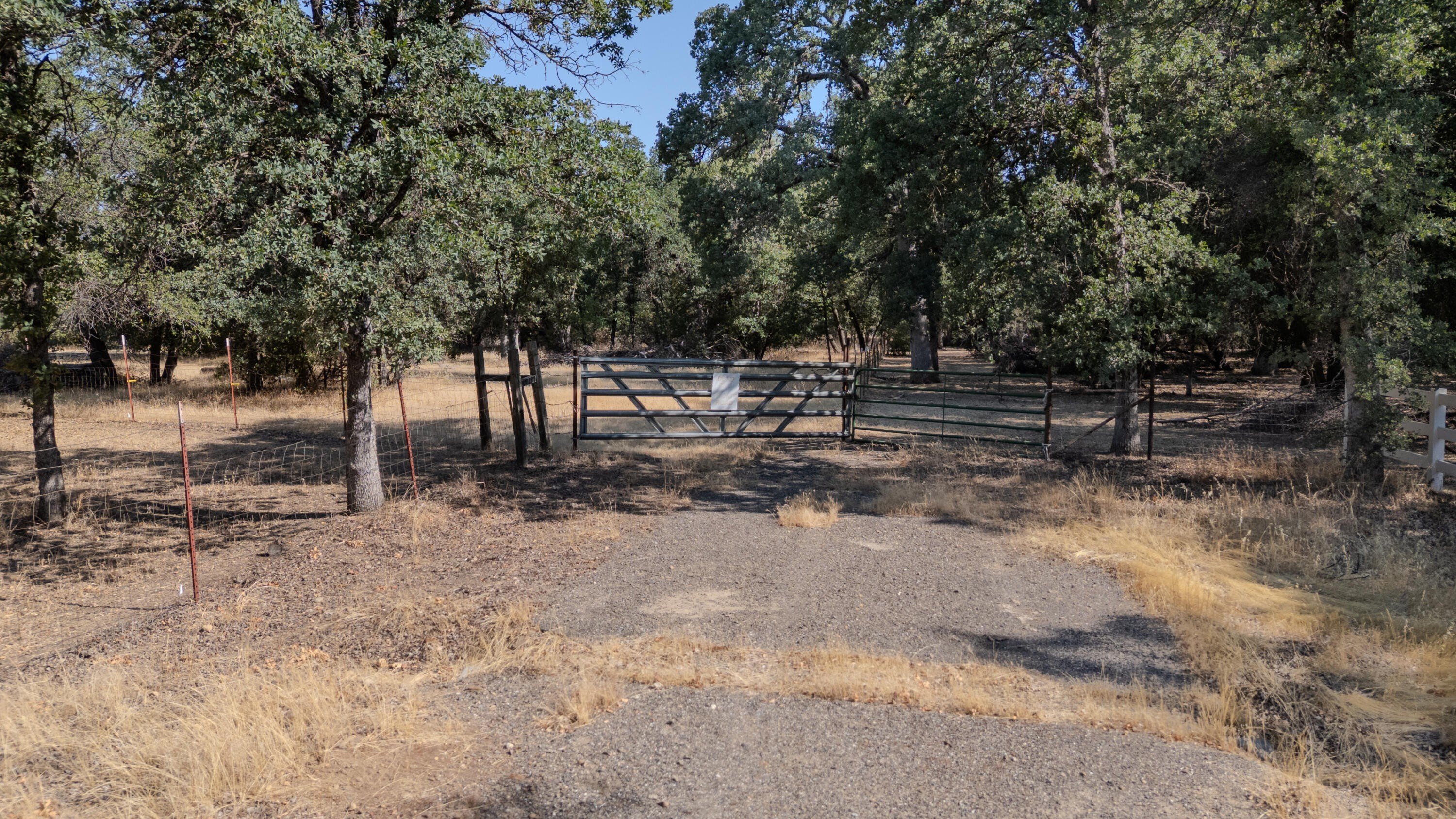 20 Acre Fenced Land