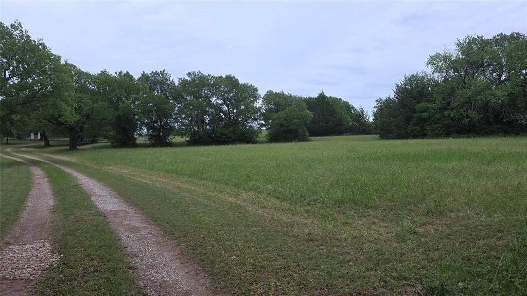 Picture 6