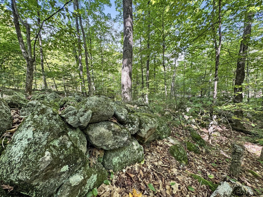 Picture 8
