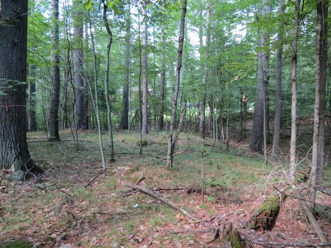Ausable Acres Building Lot