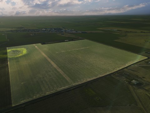 Prime Land Parcel in Ropesville