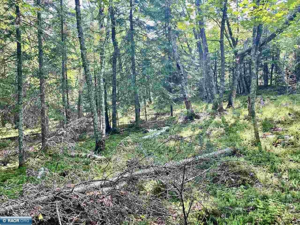 Picture 10