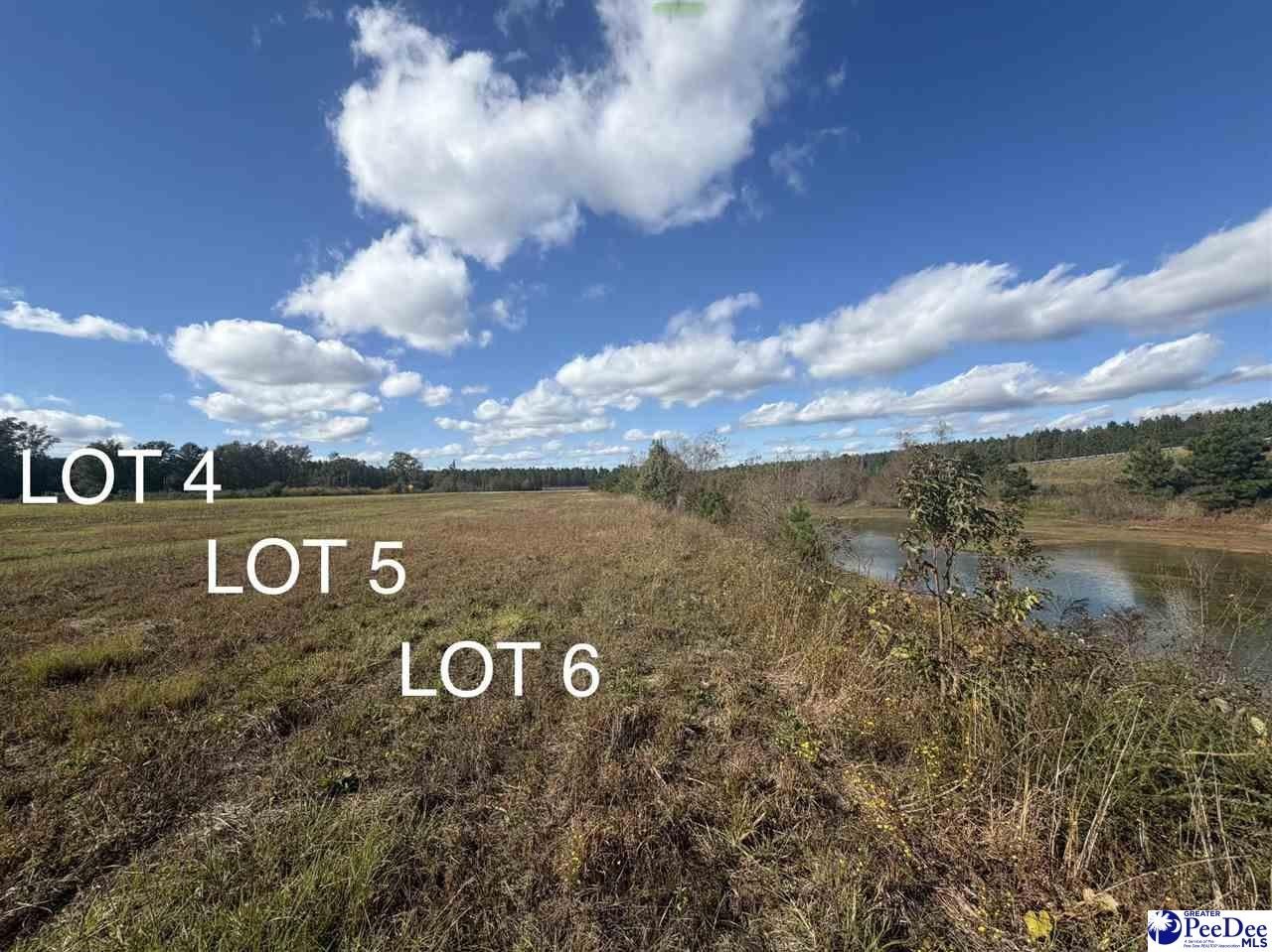 Residential Lot in Latta, SC