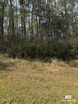 Land, Daphne, AL