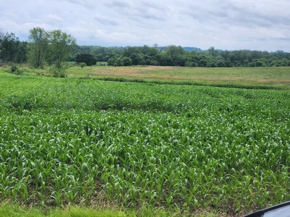 26 Acres of Rolling Meadows