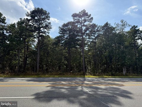 LOTS/LAND, Hammonton, NJ