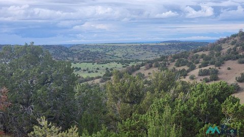 Land, Quemado, NM