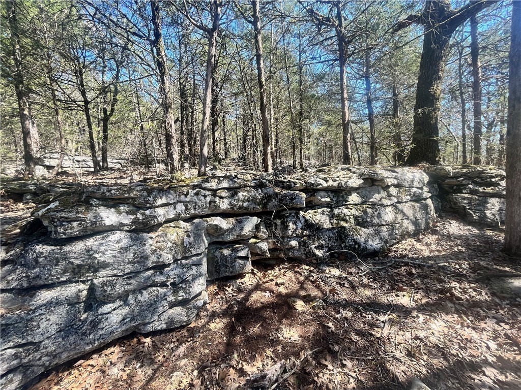 Picture 19