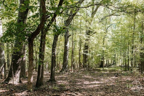 Land, Washington, GA