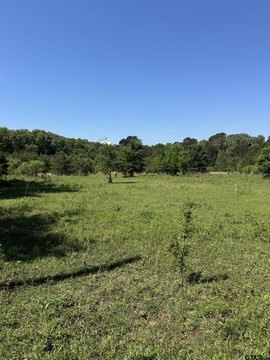 Jacksonville Acreage on FM 855