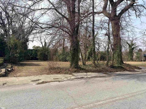 Downtown Spartanburg Versatile Lot