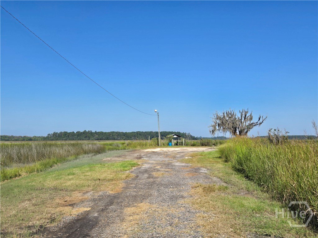 Picture 27